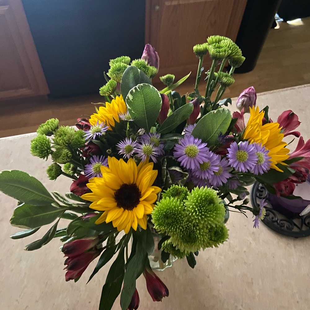 Meet your Posher, Sammie